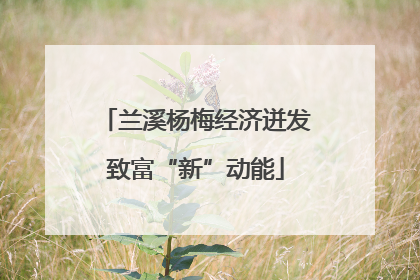兰溪杨梅经济迸发致富“新”动能