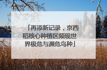 再添新记录，京西稻核心种植区频现世界极危与濒危鸟种