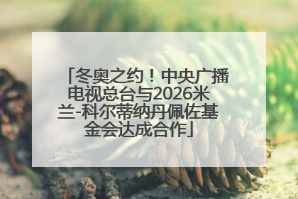 冬奥之约！中央广播电视总台与2026米兰-科尔蒂纳丹佩佐基金会达成合作