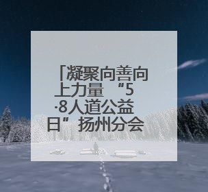 凝聚向善向上力量 “5·8人道公益日”扬州分会场有爱有健康
