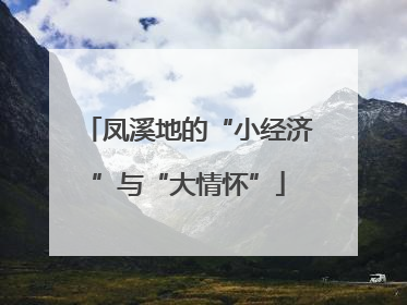 凤溪地的“小经济”与“大情怀”