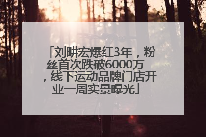 刘畊宏爆红3年，粉丝首次跌破6000万，线下运动品牌门店开业一周实景曝光