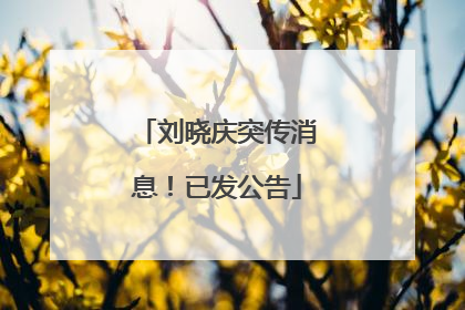 刘晓庆突传消息！已发公告