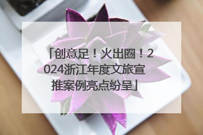 创意足！火出圈！2024浙江年度文旅宣推案例亮点纷呈