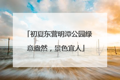 初夏东营明潭公园绿意盎然，景色宜人