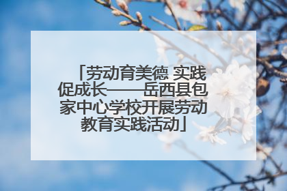 劳动育美德 实践促成长——岳西县包家中心学校开展劳动教育实践活动