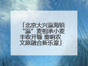 北京大兴瀛海镇“瀛”麦相承小麦丰收开镰 奏响农文旅融合新乐章