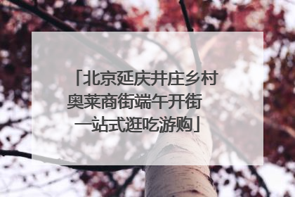 北京延庆井庄乡村奥莱商街端午开街 一站式逛吃游购