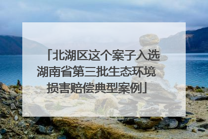北湖区这个案子入选湖南省第三批生态环境损害赔偿典型案例