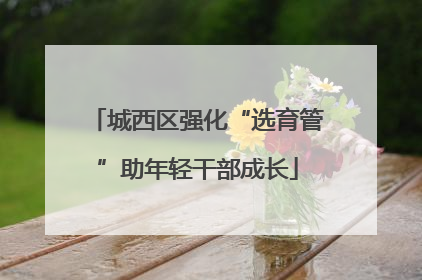 城西区强化“选育管”助年轻干部成长