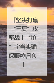 坚决打赢“三夏”攻坚战丨“抢”字当头确保颗粒归仓