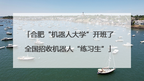 合肥“机器人大学”开班了 全国招收机器人“练习生”