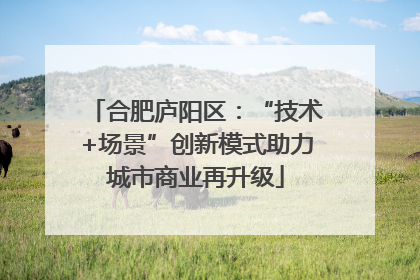 合肥庐阳区：“技术+场景”创新模式助力城市商业再升级