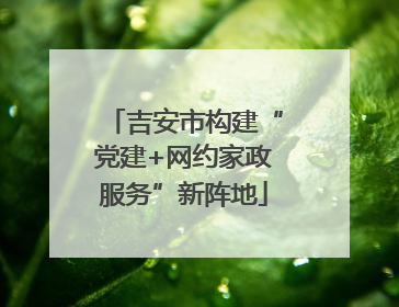 吉安市构建“党建+网约家政服务”新阵地