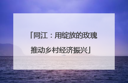 同江：用绽放的玫瑰 推动乡村经济振兴