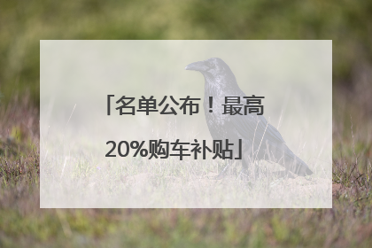 名单公布！最高20%购车补贴