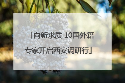 向新求质 10国外籍专家开启西安调研行