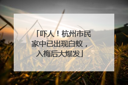 吓人！杭州市民家中已出现白蚁，入梅后大爆发