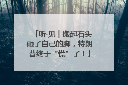 听·见｜搬起石头砸了自己的脚，特朗普终于“慌”了！