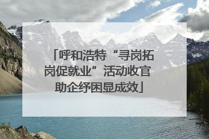 呼和浩特“寻岗拓岗促就业”活动收官 助企纾困显成效