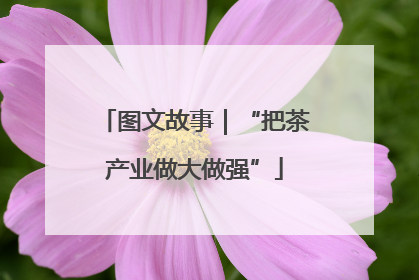 图文故事｜“把茶产业做大做强”