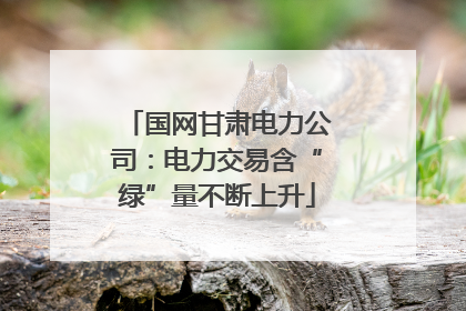 国网甘肃电力公司：电力交易含“绿”量不断上升