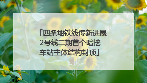 四条地铁线传新进展 2号线二期首个暗挖车站主体结构封顶