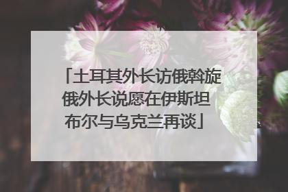 土耳其外长访俄斡旋 俄外长说愿在伊斯坦布尔与乌克兰再谈
