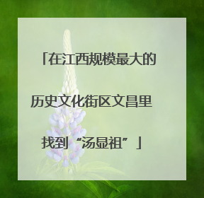 在江西规模最大的历史文化街区文昌里找到“汤显祖”