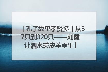 孔子故里孝贤多｜从37只到320只——刘健让泗水裘皮羊重生