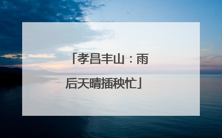 孝昌丰山：雨后天晴插秧忙