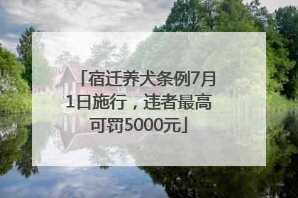 宿迁养犬条例7月1日施行，违者最高可罚5000元