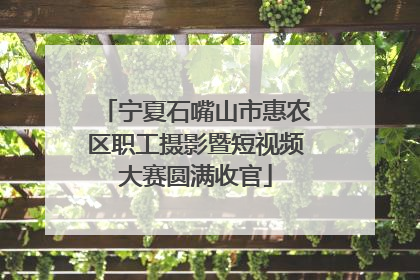 宁夏石嘴山市惠农区职工摄影暨短视频大赛圆满收官