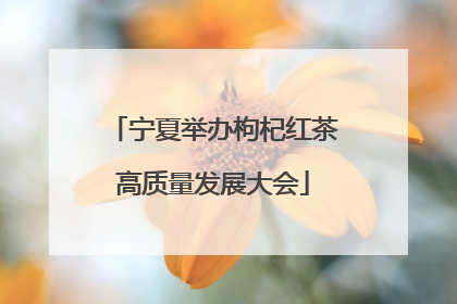 宁夏举办枸杞红茶高质量发展大会