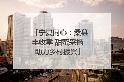 宁夏同心：桑葚丰收季 甜蜜采摘助力乡村振兴