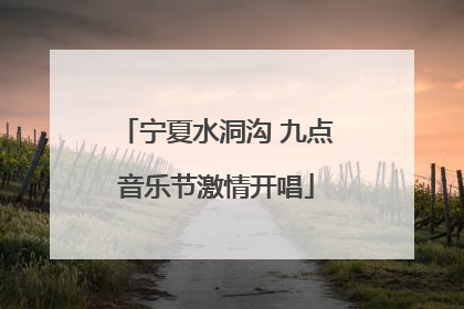 宁夏水洞沟 九点音乐节激情开唱