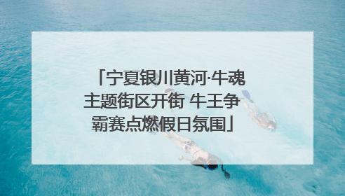 宁夏银川黄河·牛魂主题街区开街 牛王争霸赛点燃假日氛围