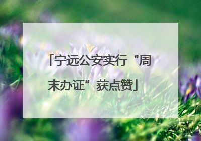 宁远公安实行“周末办证”获点赞