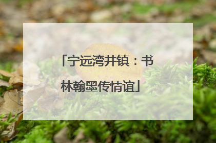 宁远湾井镇：书林翰墨传情谊