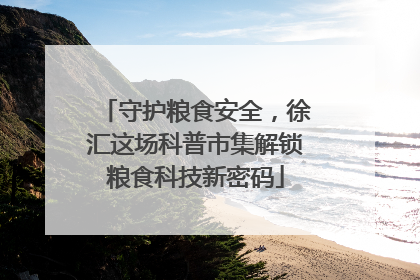 守护粮食安全，徐汇这场科普市集解锁粮食科技新密码