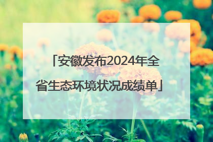 安徽发布2024年全省生态环境状况成绩单