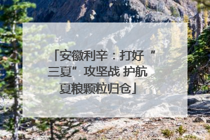 安徽利辛：打好“三夏”攻坚战 护航夏粮颗粒归仓