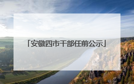 安徽四市干部任前公示