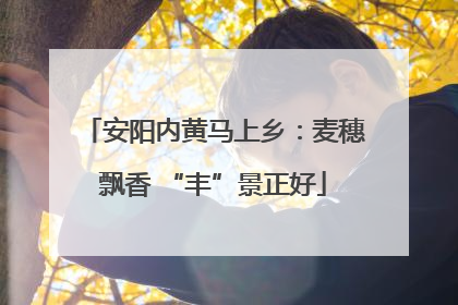 安阳内黄马上乡：麦穗飘香 “丰”景正好