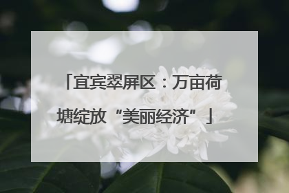 宜宾翠屏区：万亩荷塘绽放“美丽经济”