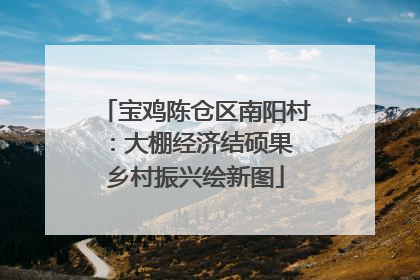 宝鸡陈仓区南阳村：大棚经济结硕果 乡村振兴绘新图