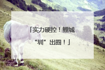 实力硬控！鲤城“圳”出圈！