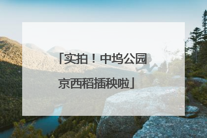 实拍！中坞公园京西稻插秧啦