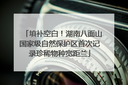 填补空白！湖南八面山国家级自然保护区首次记录珍稀物种宽距兰