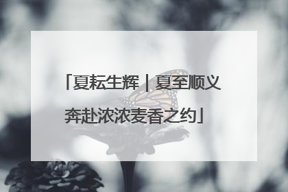 夏耘生辉｜夏至顺义奔赴浓浓麦香之约
